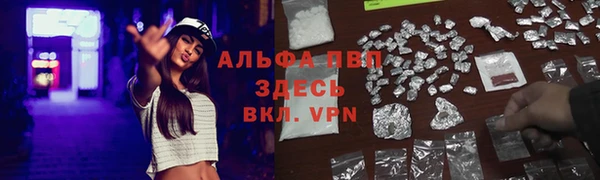 дмт Володарск