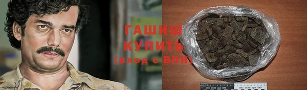 индика Вяземский