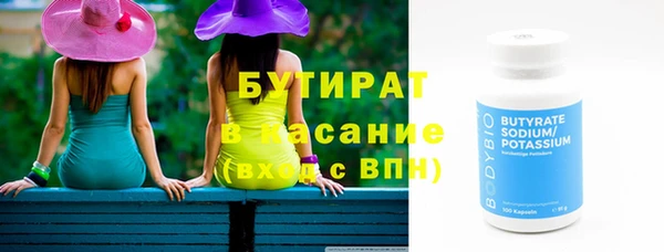 индика Вяземский