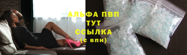 ГАЛЛЮЦИНОГЕННЫЕ ГРИБЫ Вязники