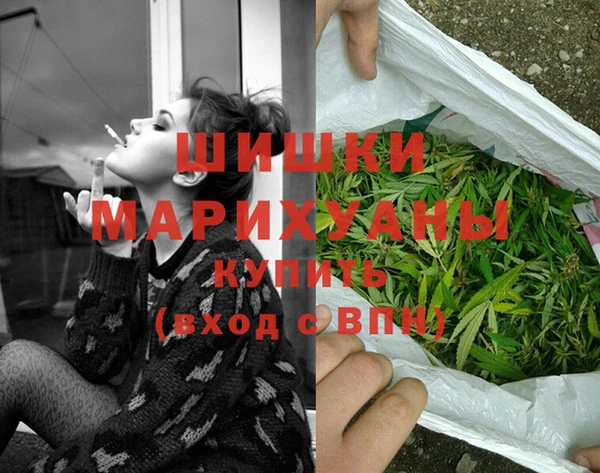 индика Вяземский