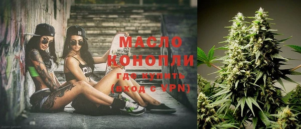 индика Вяземский
