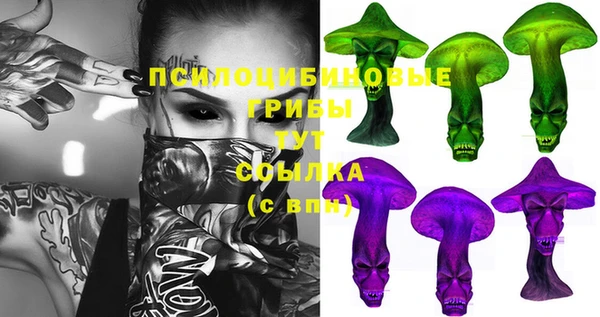 дмт Володарск