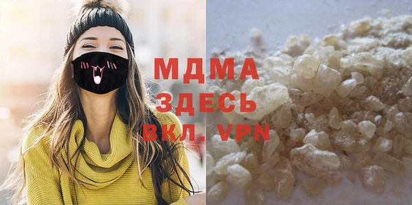 индика Вяземский