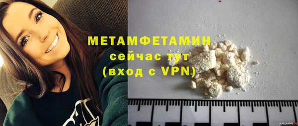 индика Вяземский