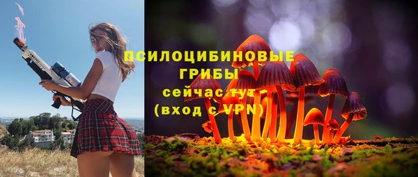 ГАЛЛЮЦИНОГЕННЫЕ ГРИБЫ Вязники