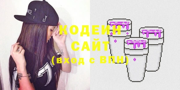 индика Вяземский