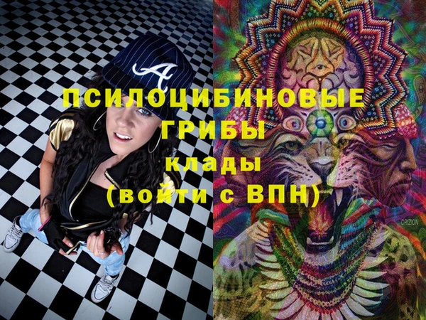 ГАЛЛЮЦИНОГЕННЫЕ ГРИБЫ Вязники