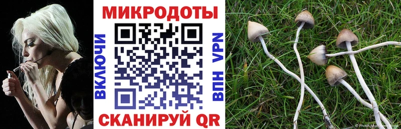 hydra зеркало  это какой сайт  Галлюциногенные грибы Psilocybine cubensis  Ковров 